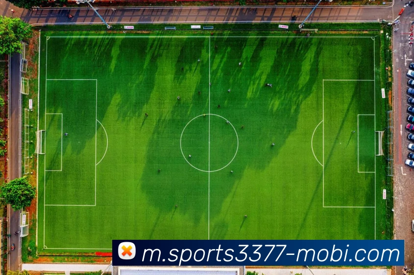 3377体育平台生态图