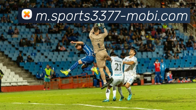 3377体育APP 封面图